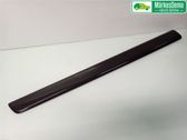 Front door trim (molding)