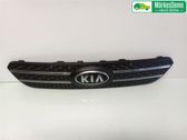 Front bumper lower grill