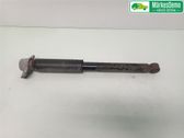 Rear shock absorber/damper