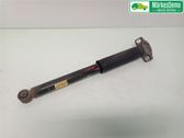 Rear shock absorber/damper
