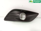 Front fog light trim/grill