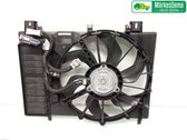 Electric radiator cooling fan