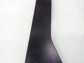 Rear door trim (molding)