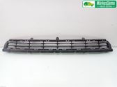 Front bumper lower grill