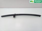 Rear door trim (molding)