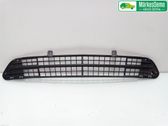 Front bumper lower grill
