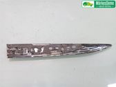 Garniture pour voûte de roue avant