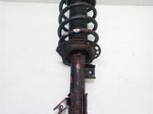Front shock absorber with coil spring