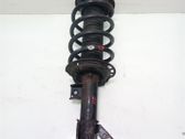 Front shock absorber with coil spring