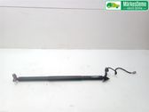 Tailgate/trunk strut/damper