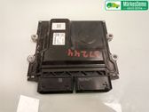 Injection control unit/module