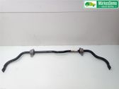 Stabilisator vorne
