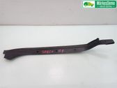 Front door trim (molding)