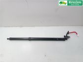Tailgate/trunk strut/damper