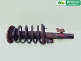 Front shock absorber with coil spring