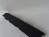 Rear door trim (molding)