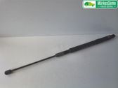 Front bonnet/hood damper/strut
