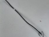 Tailgate/trunk strut/damper