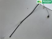 Tailgate/trunk strut/damper