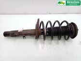 Front shock absorber with coil spring