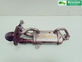 EGR valve cooler