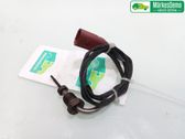 Abgastemperatursensor