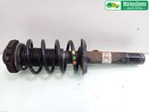 Front shock absorber with coil spring