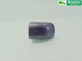 Manecilla externa puerta delantera