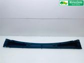 Wiper trim