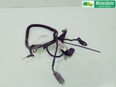 Other wiring loom