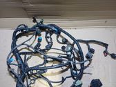 Arnés/cableado de puerta delantera