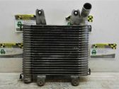 Radiador intercooler