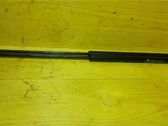 Tailgate/trunk/boot lid buffer