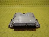 Engine control unit/module ECU