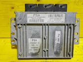 Engine control unit/module ECU