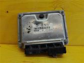 Engine control unit/module ECU
