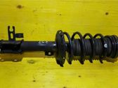 Front shock absorber/damper