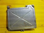 Engine control unit/module ECU