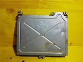 Engine control unit/module ECU