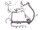 Engine installation wiring loom
