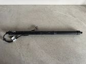 Tailgate/trunk strut/damper