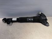 Stoßdämpfer hinten