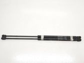 Tailgate/trunk strut/damper
