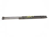Amortiguador/puntal del maletero/compartimento de carga