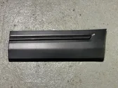 Rear door trim (molding)