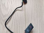 Central locking switch button