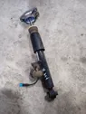 Rear shock absorber/damper