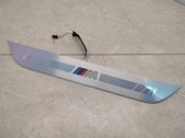 Front sill trim cover