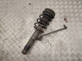 Front shock absorber/damper