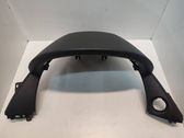Dashboard trim